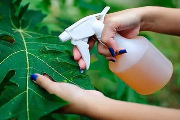 Bio Pesticide manufacturer