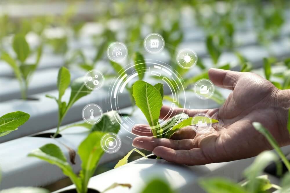 Sanjeevani Agroaid Solutions Commitment to Sustainable Agriculture