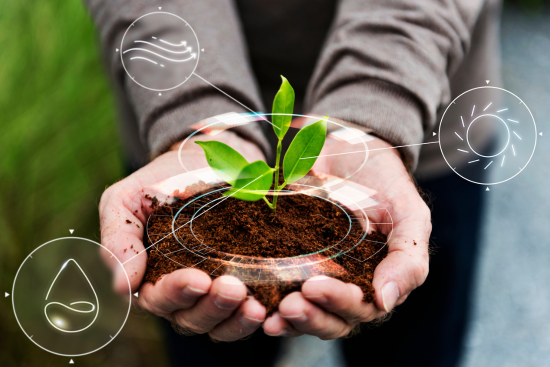 Sanjeevani Agroaid Solutions Mission and Vision