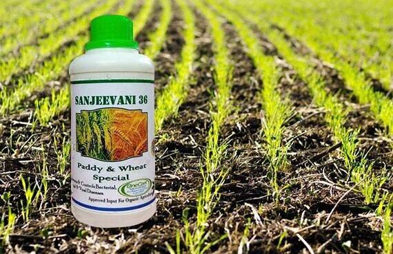 Sanjeevani Agroaid Solutions Research and Development